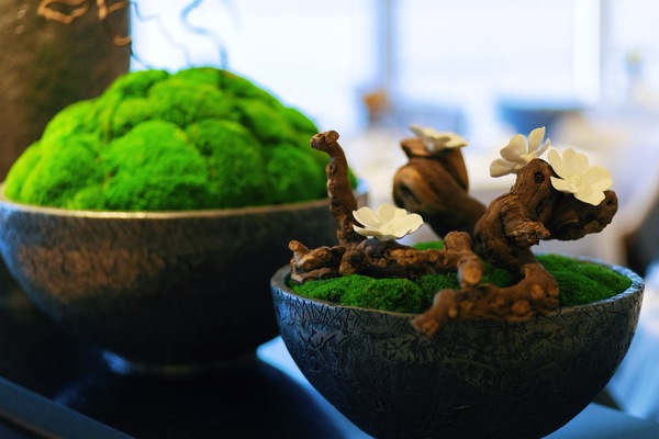 Azamara Cruises Aqualina Dining ©Jenna Lyn, Azamara Cruises2.jpg